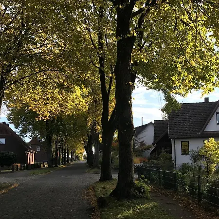 Am Holzfeld 施内沃丁根