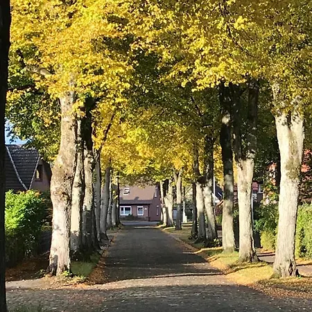 Am Holzfeld *