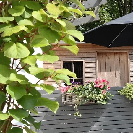 Am Holzfeld 施内沃丁根